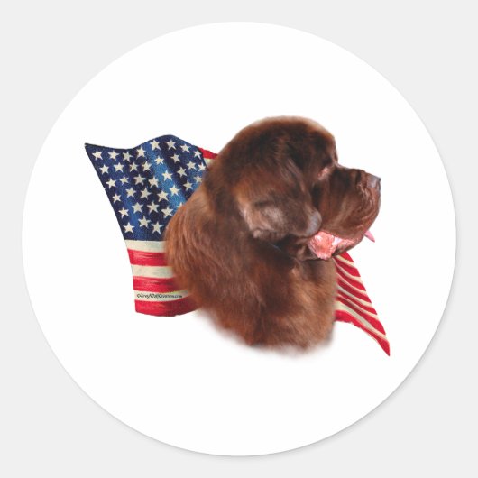 Flagge für Neufundland (braun) Runder Aufkleber (Vorderseite)