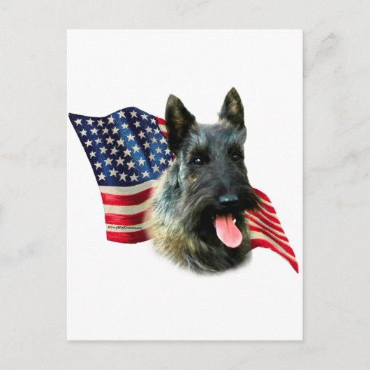 Flagge für Scottish Terrier (Bindle) Postkarte (Vorderseite)
