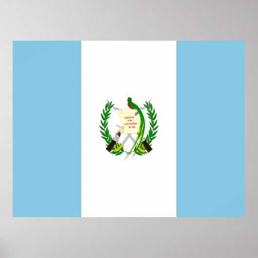 Flagge Guatemalas Poster (Vorne)