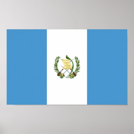 Flagge Guatemalas Poster (Vorne)
