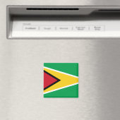 Flagge Guyana (Guyana) Magnet (In Situ (Geschirrspüler))