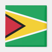 Flagge Guyana (Guyana) Magnet (Vorne)