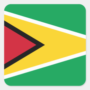 Flagge Guyana (Guyana) Quadratischer Aufkleber