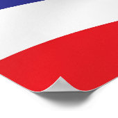 Flagge Hawaiis Poster (Ecke)