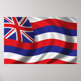 Flagge Hawaiis Poster