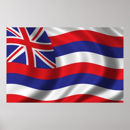 Flagge Hawaiis Poster (Vorne)