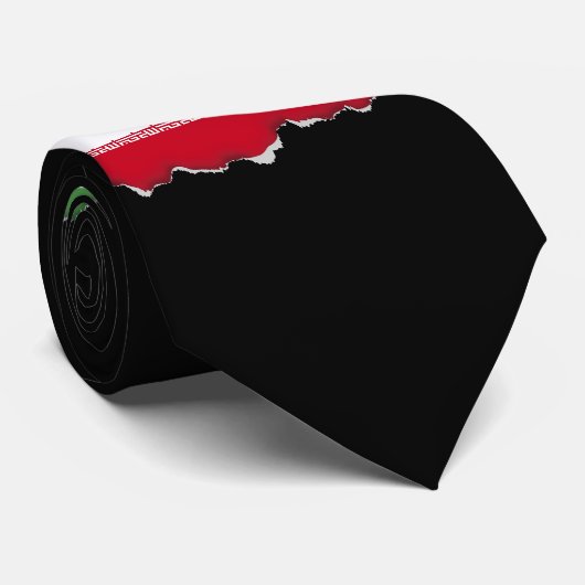 Flagge Irans Krawatte (Gerollt)