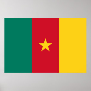 Flagge Kameruns Poster