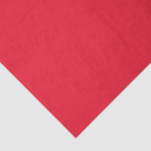 Flagge Kirgisistans Seidenpapier (Detail)