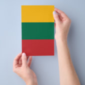 Flagge Litauens Flyer (Handgriff)