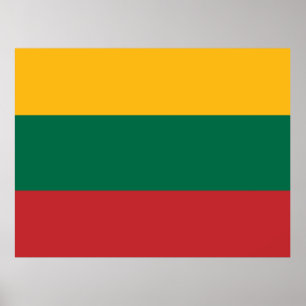 Flagge Litauens Poster