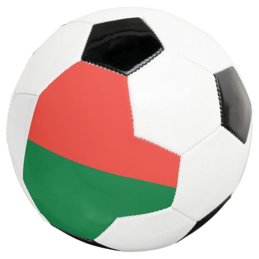 Flagge Madagaskars Fußball (Dreiviertel)