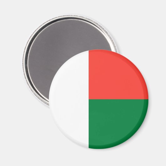 Flagge Madagaskars Magnet (Vorderseite/Rückseite)