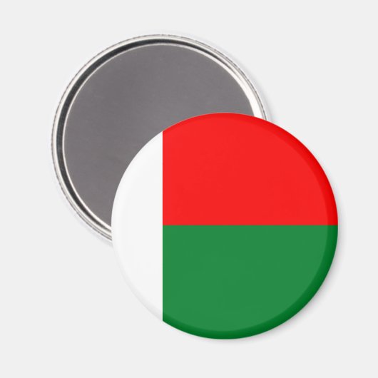 Flagge Madagaskars Magnet (Vorderseite/Rückseite)