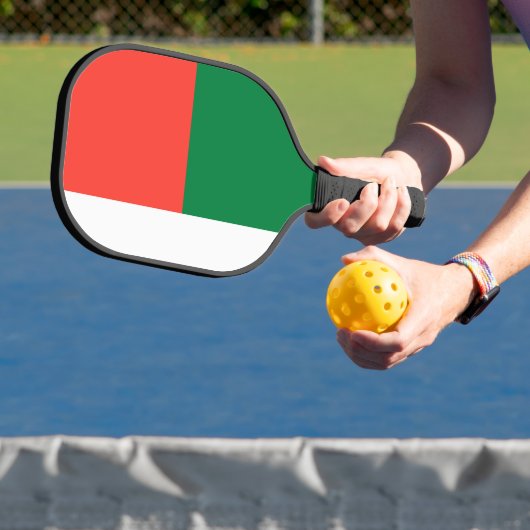 Flagge Madagaskars Pickleball Schläger (InSitu)