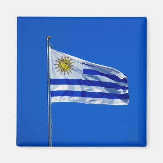 Flagge Magnet (Vorne)