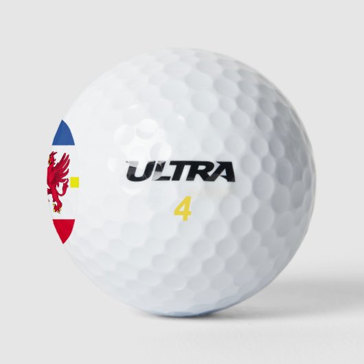 Flagge Mecklenburg-Western Pommern Golf Balls Golfball (Logo)