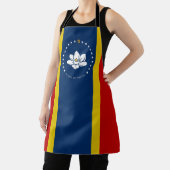 Flagge Mississippi Schürze (InSitu)