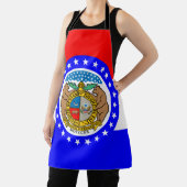 Flagge Missouri Schürze (InSitu)