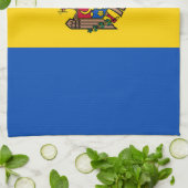 Flagge Moldawiens Geschirrtuch (Gefaltet)