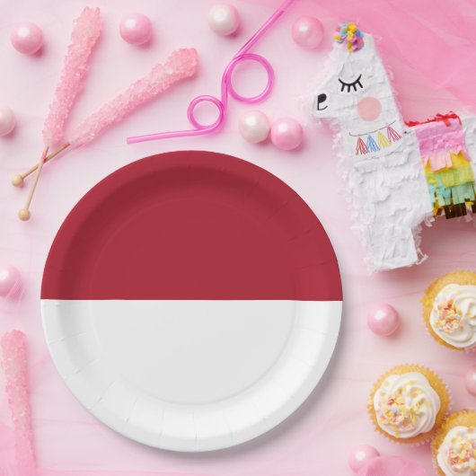 Flagge Monaco Pappteller (Party)