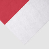 Flagge Monacos Seidenpapier (Ausschnitt)