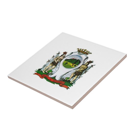 Flagge Monterrey, Nuevo León - MEXIKO Fliese (Seite)