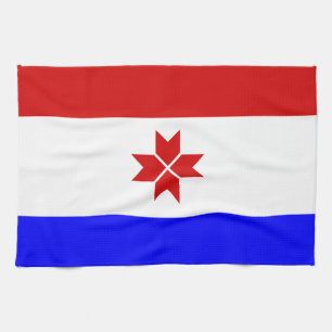 Flagge Mordowiens Geschirrtuch