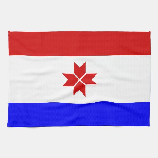 Flagge Mordowiens Geschirrtuch (Horizontal)