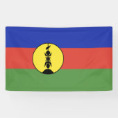 Flagge Neukaledoniens Banner (Horizontal)