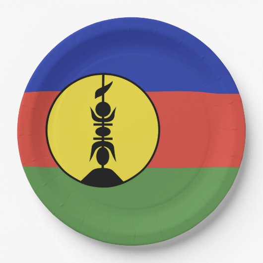 Flagge Neukaledoniens Pappteller (Vorderseite)