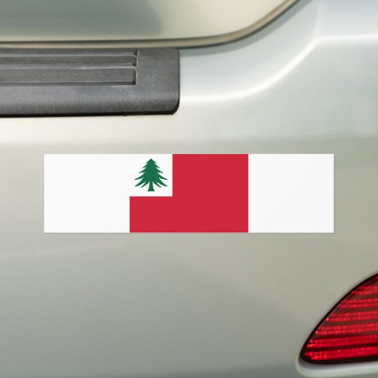 Flagge New England Autoaufkleber (Auf Auto)