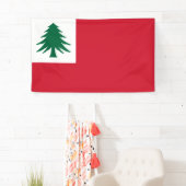 Flagge New England Banner (Insitu)