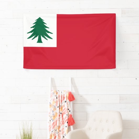 Flagge New England Banner (Insitu)