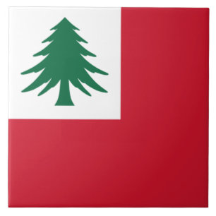 Flagge New England Fliese