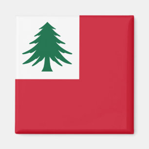 Flagge New England Magnet