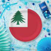 Flagge New England Pappteller (Party)