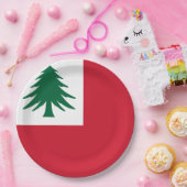 Flagge New England Pappteller (Party)