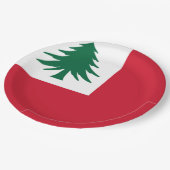 Flagge New England Pappteller (Schrägansicht)
