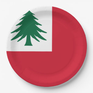 Flagge New England Pappteller