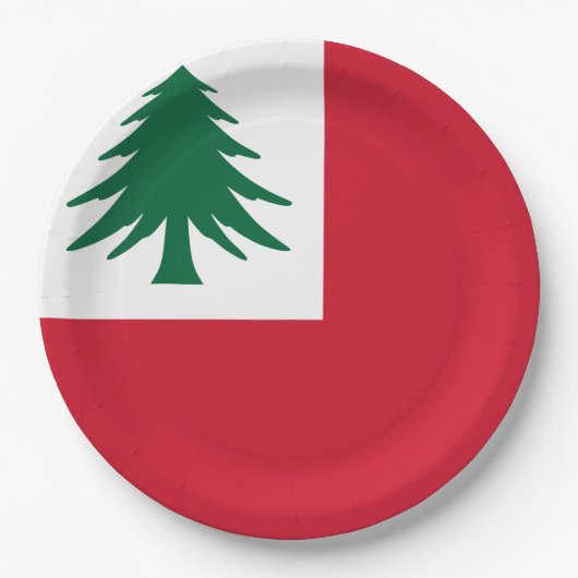 Flagge New England Pappteller (Vorderseite)