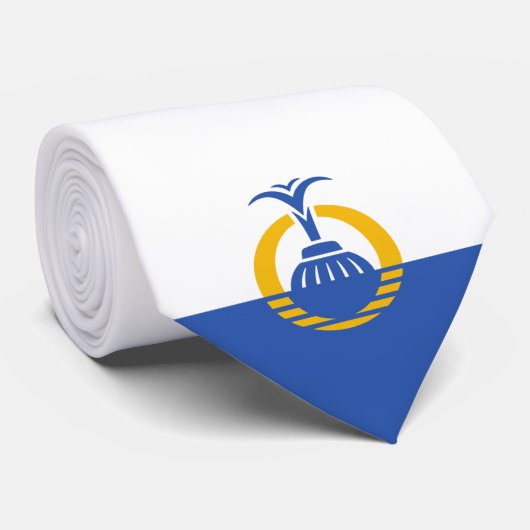 Flagge Orlandos (Florida) Krawatte (Gerollt)