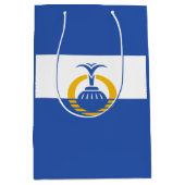 Flagge Orlandos, Florida Mittlere Geschenktüte (Vorderseite)