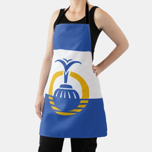 Flagge Orlandos, Florida Schürze (InSitu)