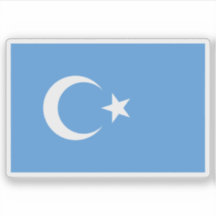 Flagge Ostturkestans (Kök Bayraq)
