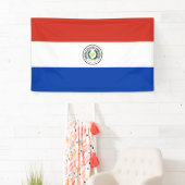 Flagge Paraguays Banner (Insitu)