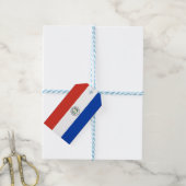 Flagge Paraguays Geschenkanhänger (Mit Garn)
