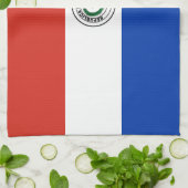Flagge Paraguays Geschirrtuch (Gefaltet)