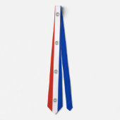 Flagge Paraguays Krawatte (Vorderseite)