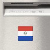 Flagge Paraguays Magnet (In Situ (Geschirrspüler))